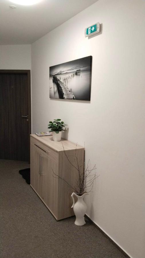 Penzion U Brázdů Ivancice Exterior foto